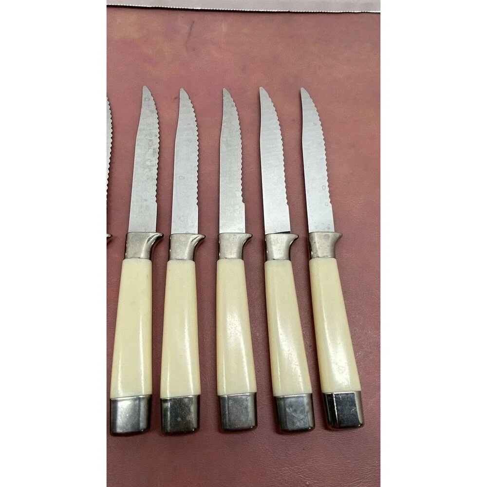Vintage Regent Sheffield Desert Flower Serrated Steak Knives Set of 8 Farmhouse